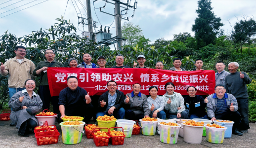 不朽情缘-官方网站